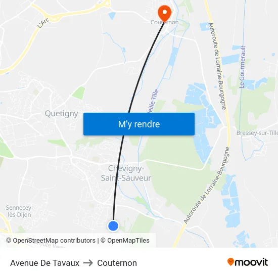Avenue De Tavaux to Couternon map