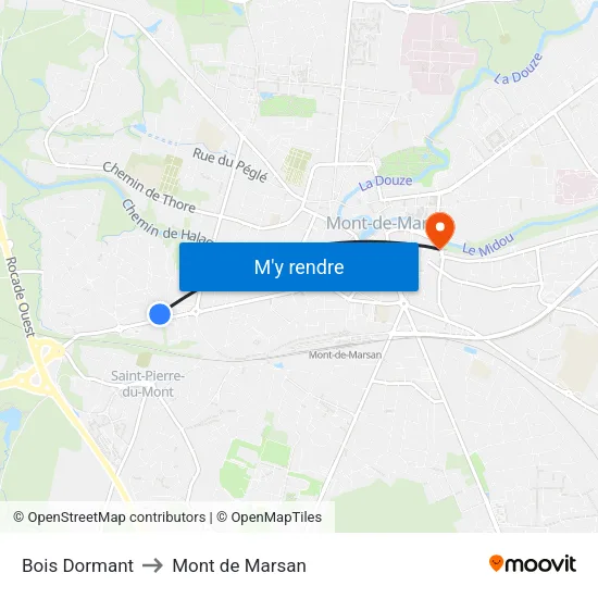 Bois Dormant to Mont de Marsan map
