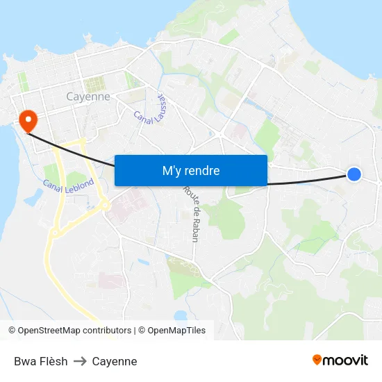 Bwa Flèsh to Cayenne map