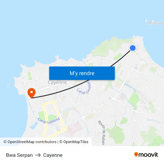 Bwa Serpan to Cayenne map