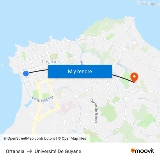 Ortansia to Université De Guyane map
