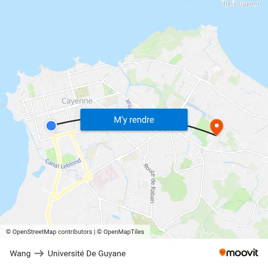 Wang to Université De Guyane map
