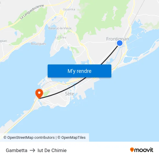 Gambetta to Iut De Chimie map