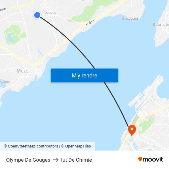 Olympe De Gouges to Iut De Chimie map