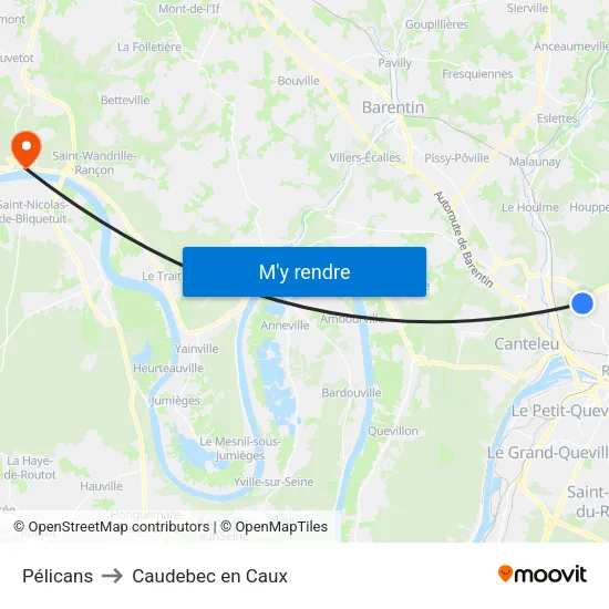 Pélicans to Caudebec en Caux map