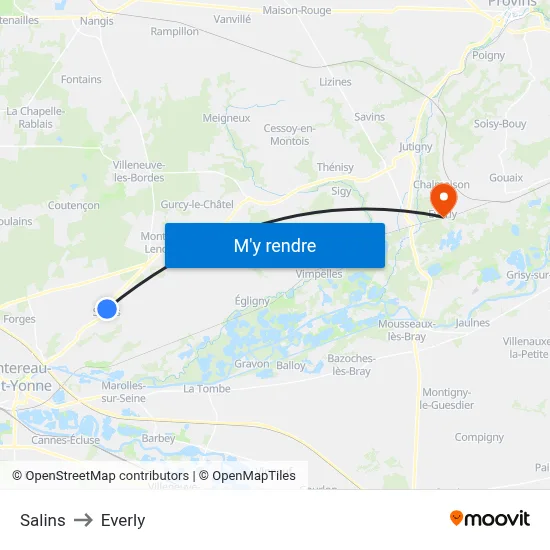 Salins to Everly map