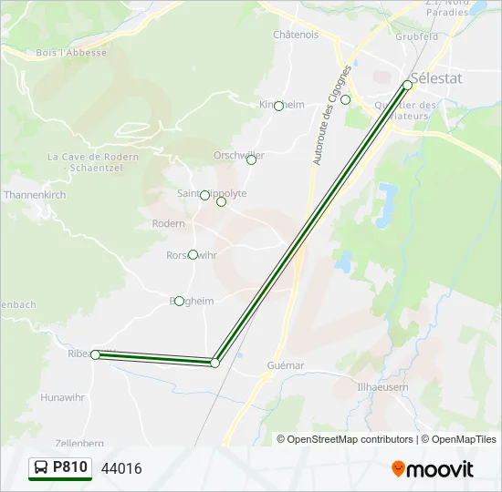 P810 Bus Line Map