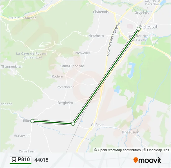P810 Bus Line Map