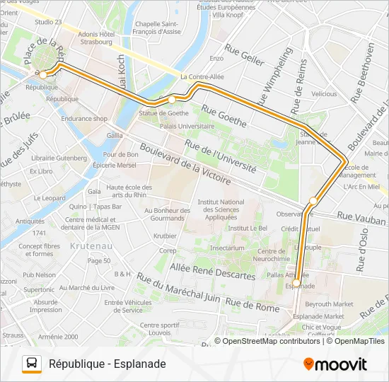 REMPLACEMENT-C/E Bus Line Map