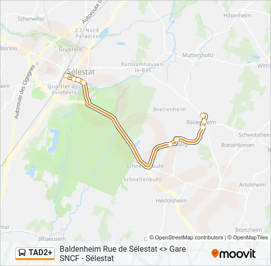 TAD2+ Bus Line Map