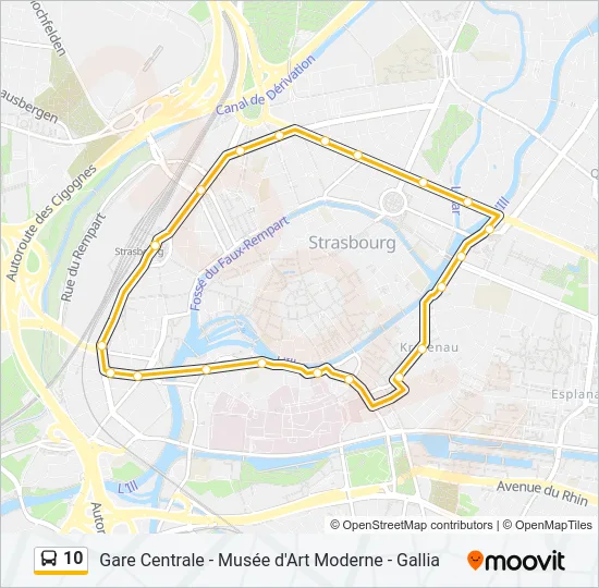 10 Bus Line Map