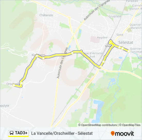 TAD3+ Bus Line Map