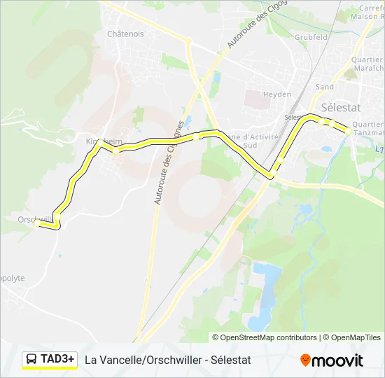 TAD3+ Bus Line Map