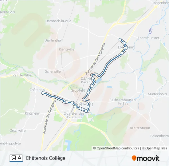 A Bus Line Map