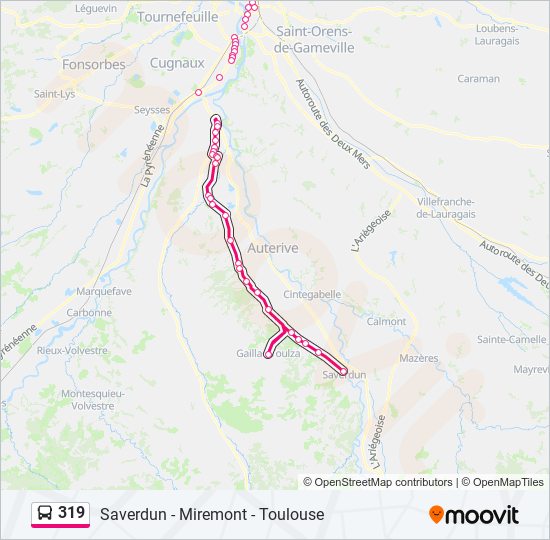 Plan de la ligne 319 de bus