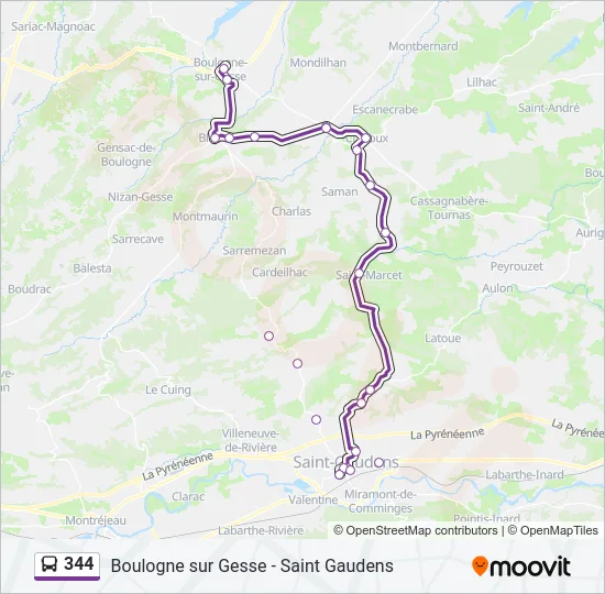 344 Bus Line Map