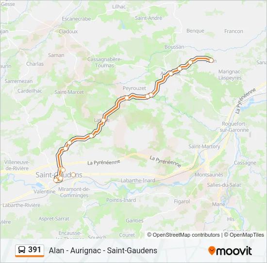 391 Bus Line Map
