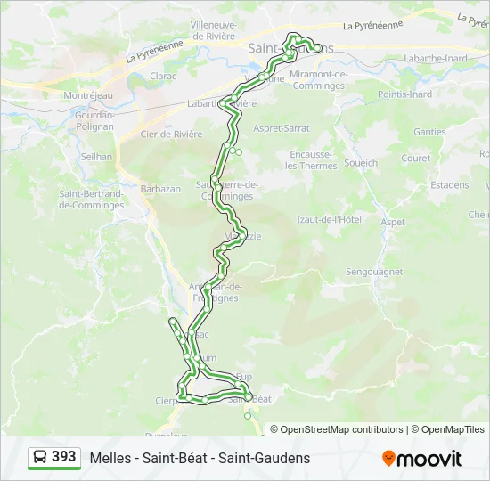393 Bus Line Map