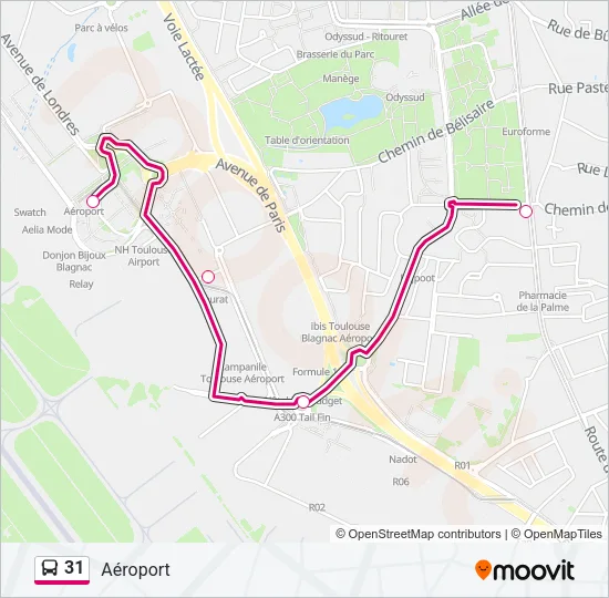 31 Bus Line Map