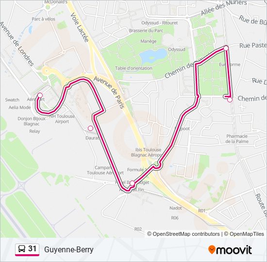 31 Route: Schedules, Stops & Maps - Guyenne-Berry (Updated)