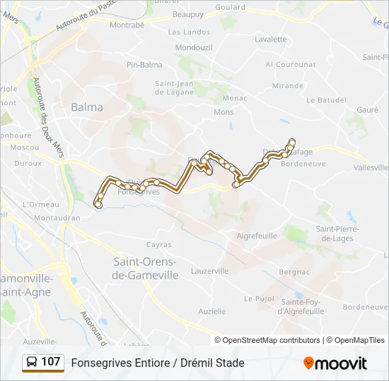 107 Bus Line Map