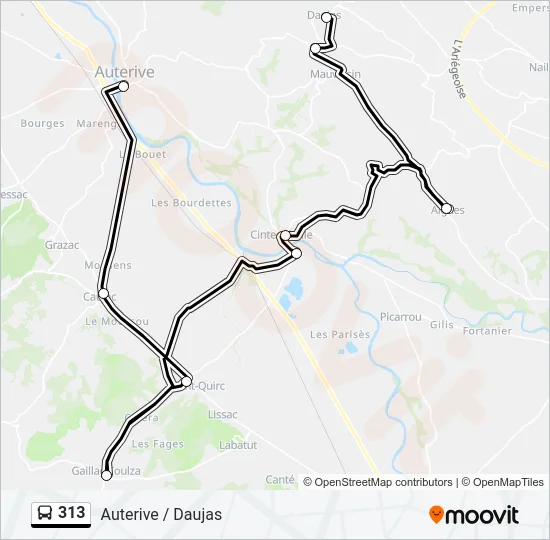 313 Bus Line Map