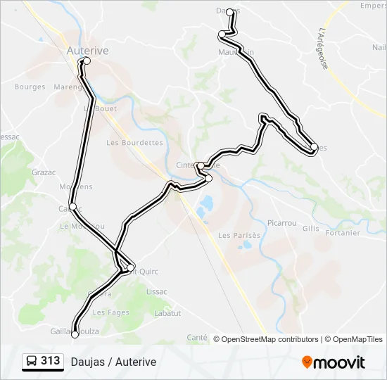 313 Bus Line Map