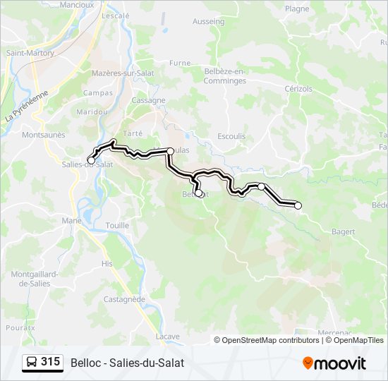 Mapa de 315 de autobús