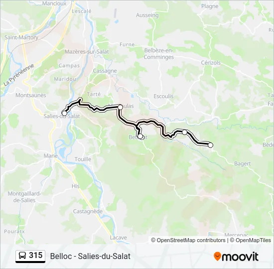 315 Bus Line Map