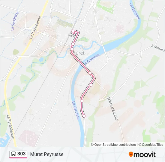 303 Bus Line Map