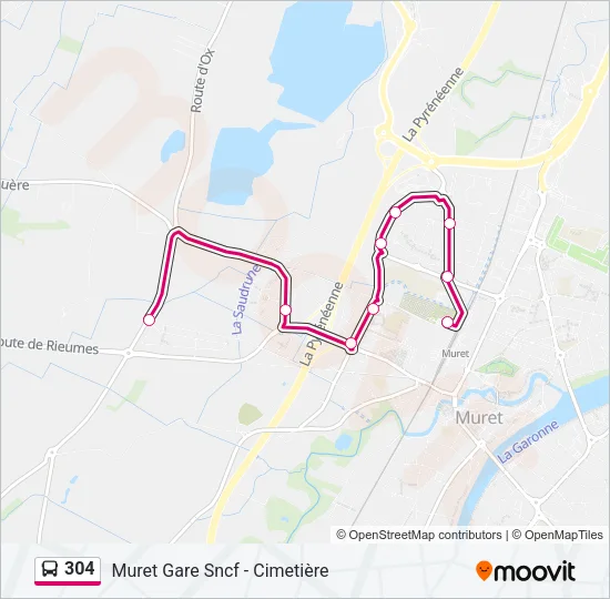 304 Bus Line Map