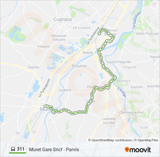 311 bus Line Map