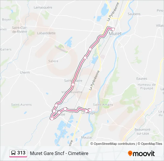 313 Bus Line Map