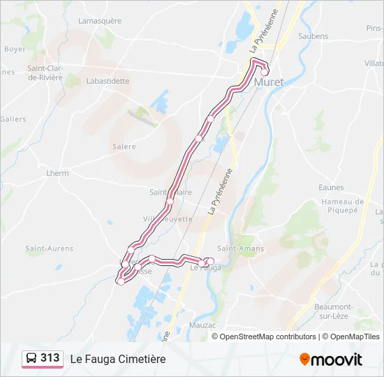 313 Bus Line Map