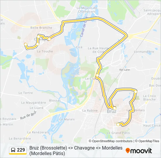 229 Bus Line Map