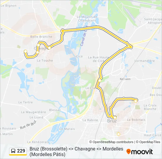 229 Bus Line Map