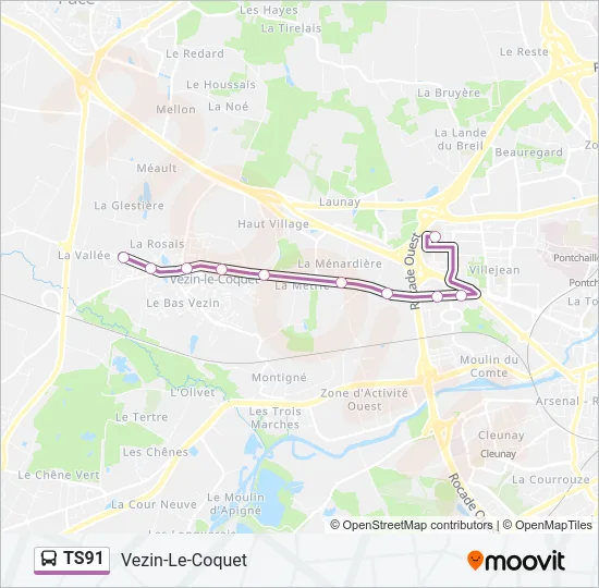 TS91 Bus Line Map