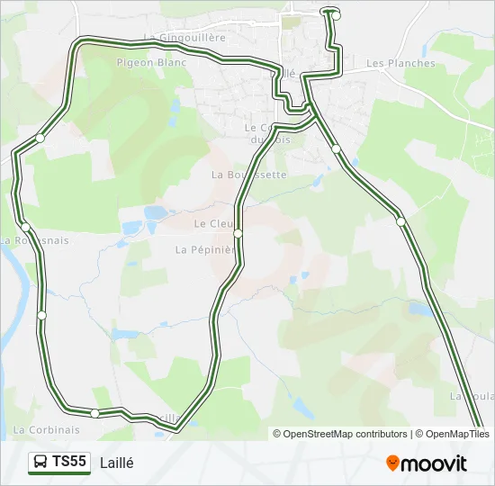 TS55 Bus Line Map