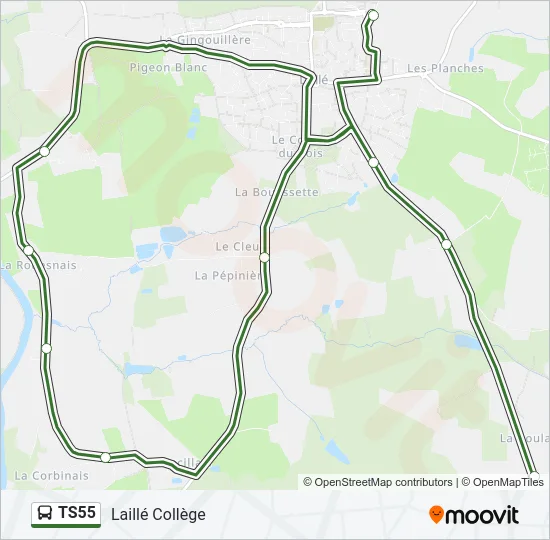 TS55 Bus Line Map