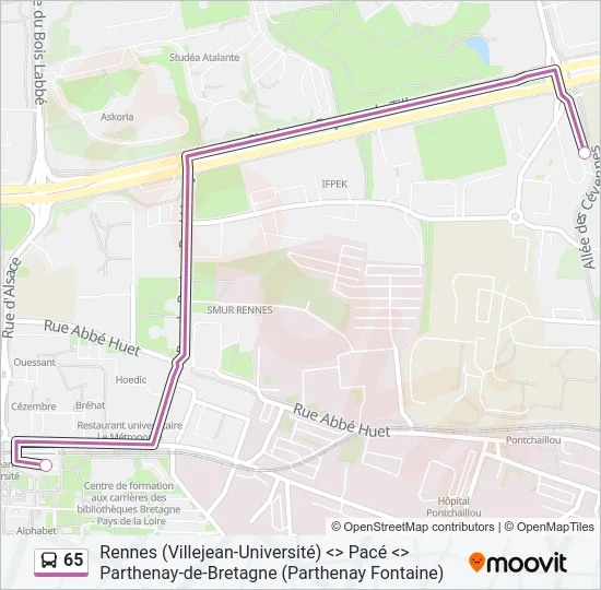 65 Bus Line Map