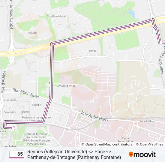 Mapa de 65 de autobús