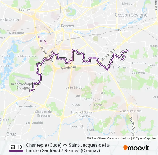13 Bus Line Map