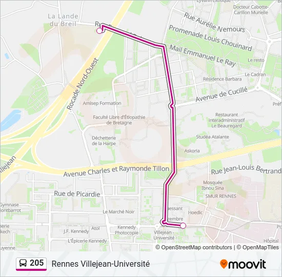 205 Bus Line Map
