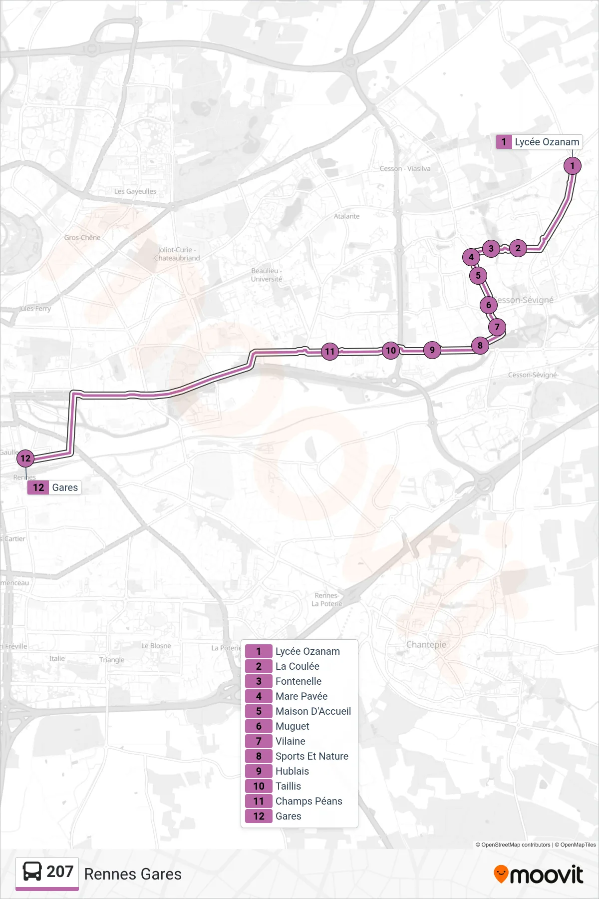 Tracé et arrêts de la ligne 207 de bus (Rennes Gares) sur une carte