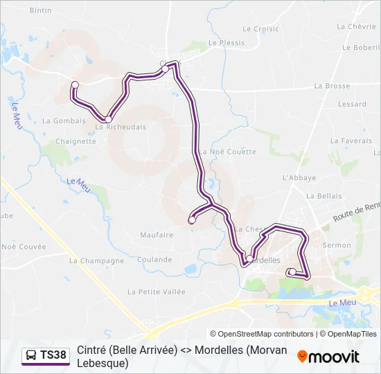 TS38 Bus Line Map