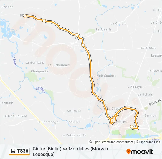 TS36 Bus Line Map
