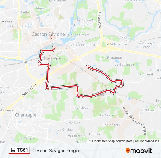 TS61 bus Line Map