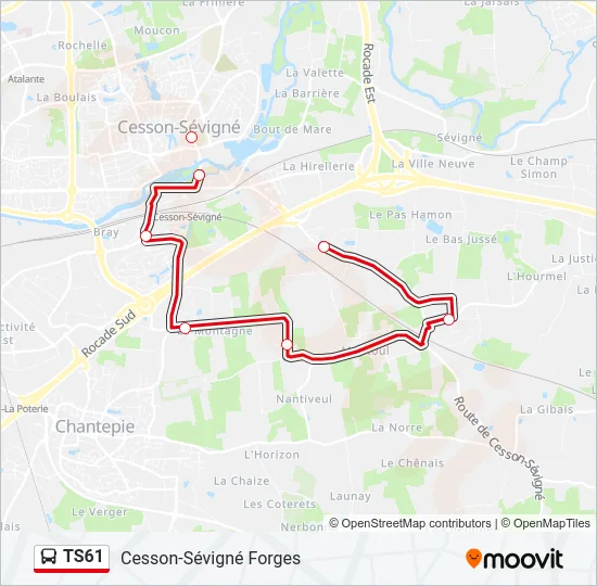 TS61 Bus Line Map