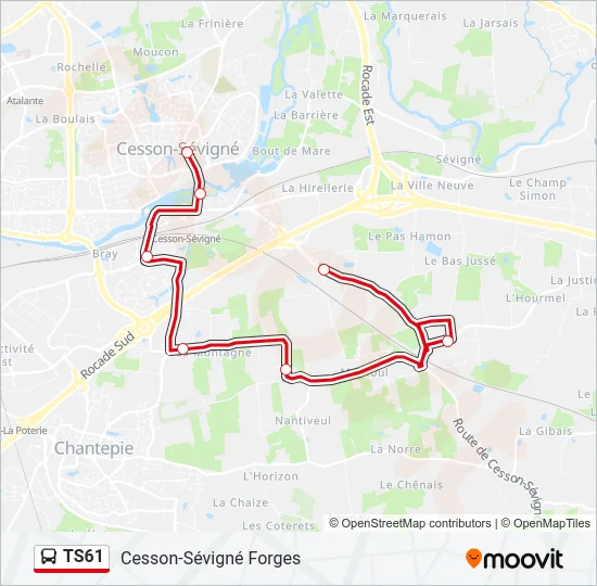 TS61 Bus Line Map