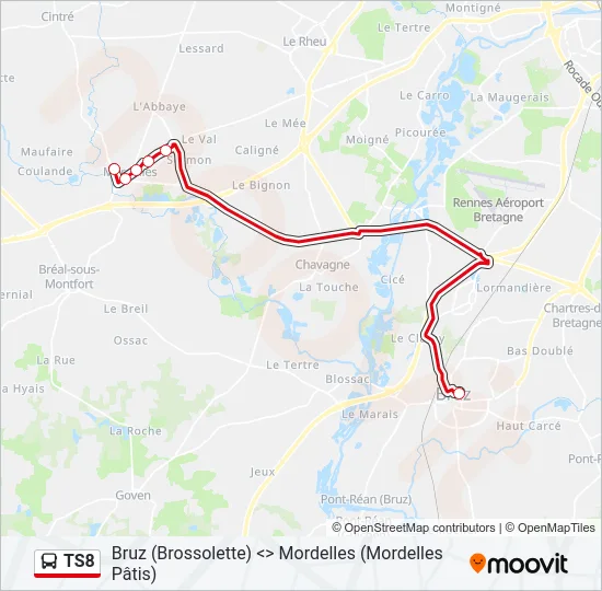 TS8 Bus Line Map
